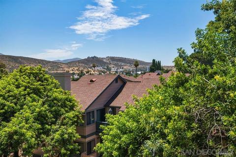 2974 Elm Tree Ct, Spring Valley, CA 91978 photo 21