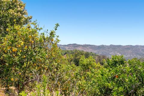 31875 Aquaduct Rd, Bonsall, CA 92003 photo 20