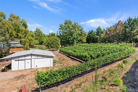 896 Burma Rd, Fallbrook, CA 92028 photo 21