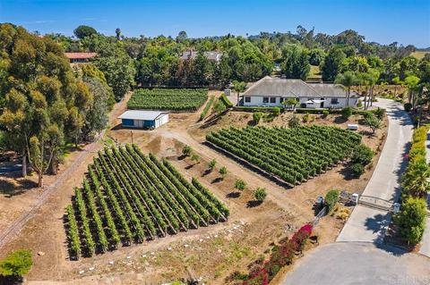 896 Burma Rd, Fallbrook, CA 92028 photo 1
