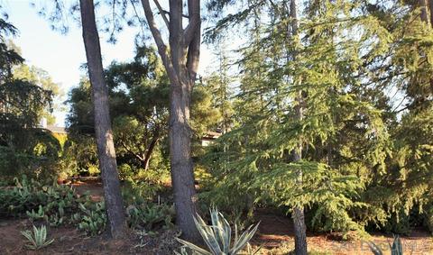 16232 Del Norte, Poway, CA 92064 photo 4