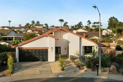 7318 Lily Pl, Carlsbad, CA 92011 photo 25