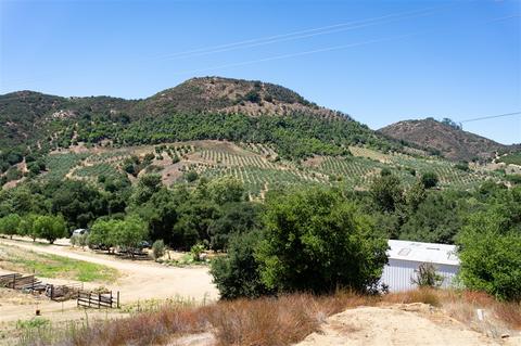 40376 Sandia Creek Dr, Fallbrook, CA 92028 photo 9