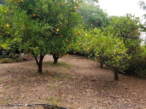 1535 Hidden Mesa Rd, El Cajon, CA 92019 photo 7