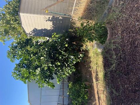 255 E Bradley Ave #51, El Cajon, CA 92021 photo 17