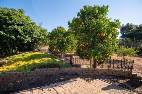 1323 Via Del Oro, Fallbrook, CA 92028 photo 5