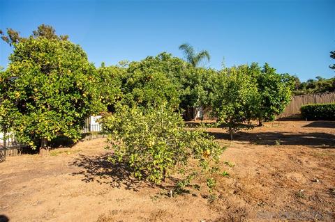 1323 Via Del Oro, Fallbrook, CA 92028 photo 23