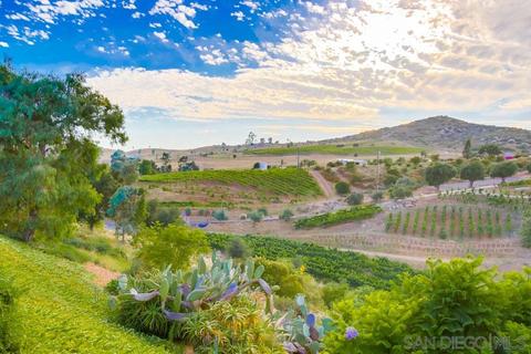 15234 Sky High Rd, Escondido, CA 92025 photo 22