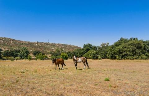 25140 Highway 94, Potrero, CA 91963 photo 14