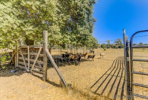 25140 Highway 94, Potrero, CA 91963 photo 24
