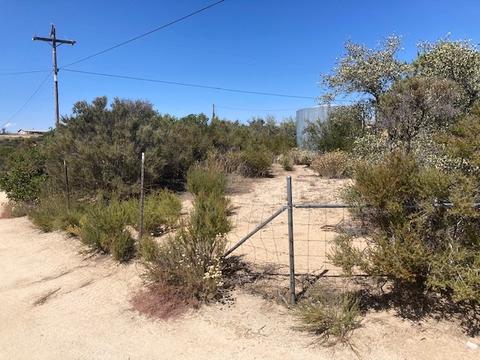 38201 Red Shank Ln, Boulevard, CA 91905 photo 11
