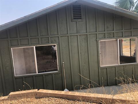 14343 Mussey Grade Rd, Ramona, CA 92065 photo 3