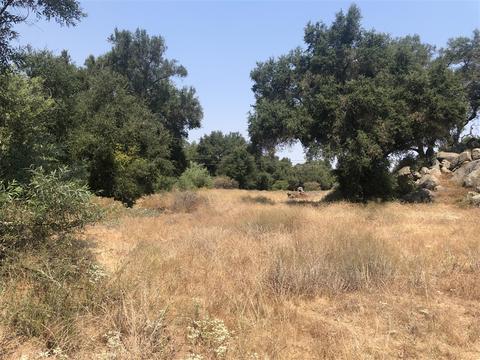 14343 Mussey Grade Rd, Ramona, CA 92065 photo 19