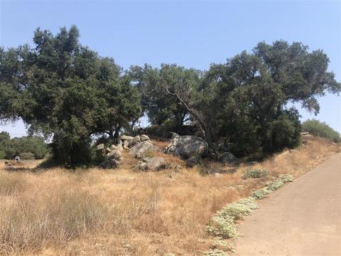 14343 Mussey Grade Rd, Ramona, CA 92065 photo 17