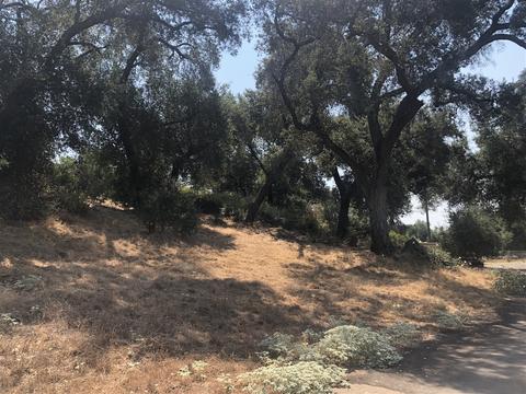 14343 Mussey Grade Rd, Ramona, CA 92065 photo 20
