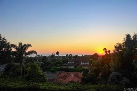910 Passiflora Ave, Encinitas, CA 92024 photo 25
