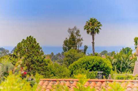 910 Passiflora Ave, Encinitas, CA 92024 photo 2
