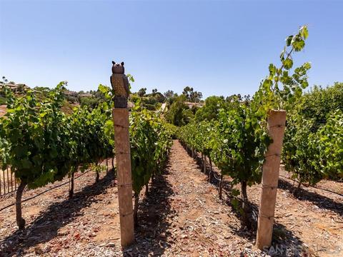 17980 Highlands Ranch Ter, Poway, CA 92064 photo 23