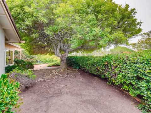 8458 Cliffridge Ave, La Jolla, CA 92037 photo 25