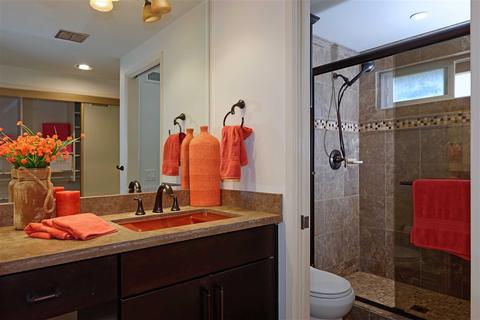 143 Celaya Ct, Solana Beach, CA 92075 photo 16