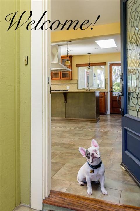 7906 Cinnabar Dr, La Mesa, CA 91941 photo 5