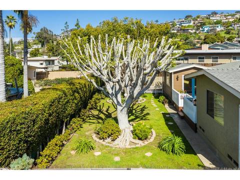 7906 Cinnabar Dr, La Mesa, CA 91941 photo 23