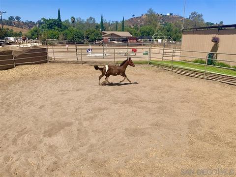 11666 Moreno Ave, Lakeside, CA 92040 photo 17