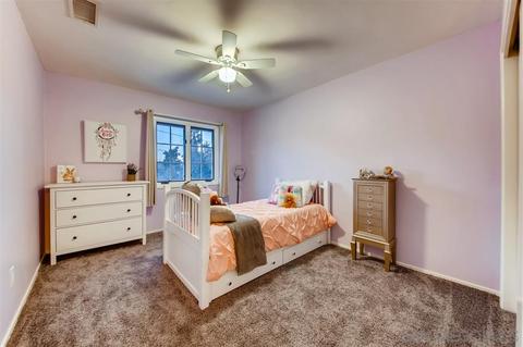 10717 Prince Ln, La Mesa, CA 91941 photo 14