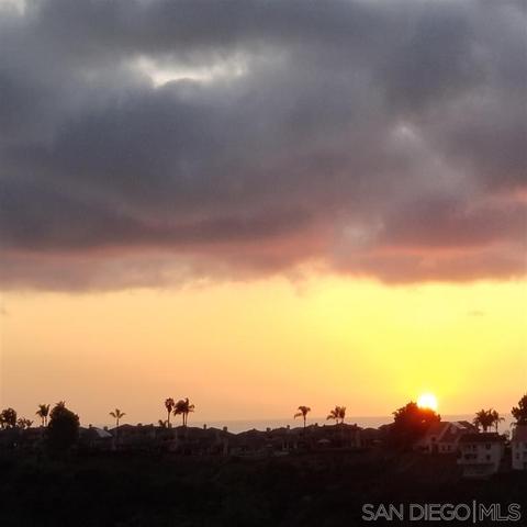 1790 Hawk View Dr, Encinitas, CA 92024 photo 25