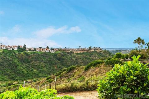 1790 Hawk View Dr, Encinitas, CA 92024 photo 23
