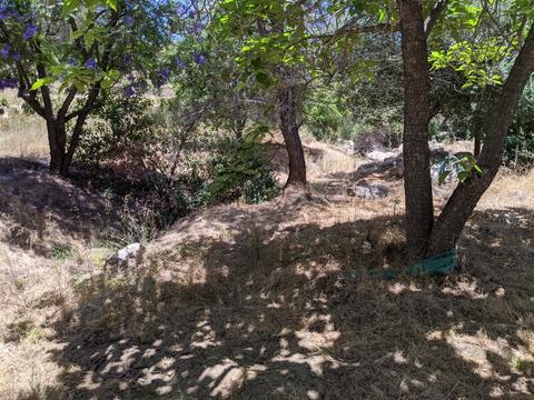 14941 Lyons Valley Rd, Jamul, CA 91935 photo 11