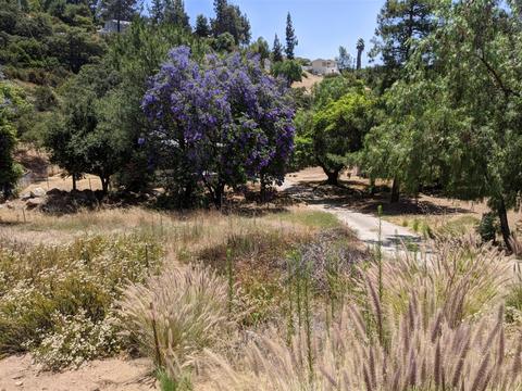 14941 Lyons Valley Rd, Jamul, CA 91935 photo 13