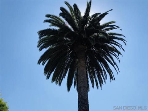 608 Monterey Dr, Oceanside, CA 92058 photo 12
