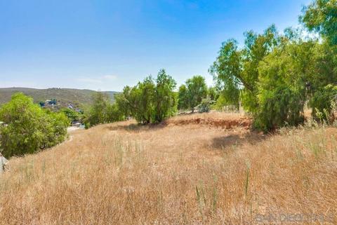 1729 Weekend Villa Rd, Ramona, CA 92065 photo 21