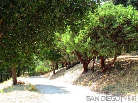 2308 C St, Julian, CA 92036 photo 5