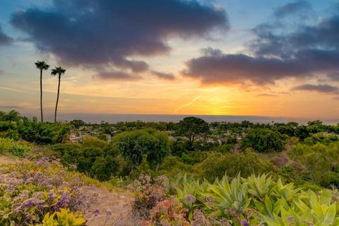 5540 Ladybird Ln, La Jolla, CA 92037 photo 19