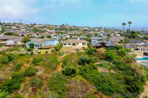 5540 Ladybird Ln, La Jolla, CA 92037 photo 22