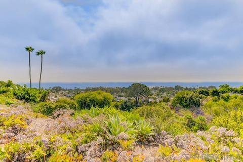 5540 Ladybird Ln, La Jolla, CA 92037 photo 14