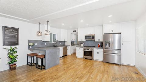 10619 Louisa Dr, La Mesa, CA 91941 photo 3