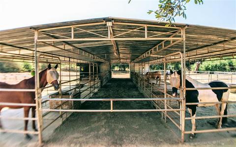 25067 Bareta Star Ranch Rd, Ramona, CA 92065 photo 21