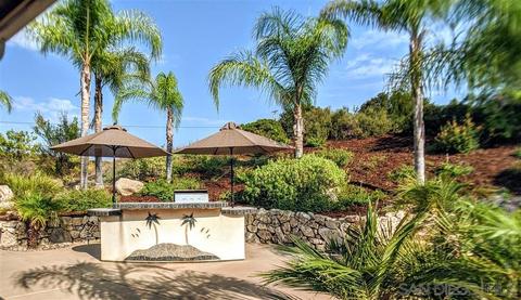 25067 Bareta Star Ranch Rd, Ramona, CA 92065 photo 19