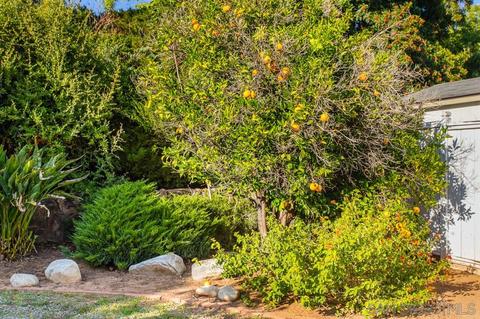 2826 Oaktree Way, Fallbrook, CA 92028 photo 22
