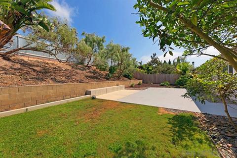 1721 Ruthlor Rd, Cardiff, CA 92007 photo 23