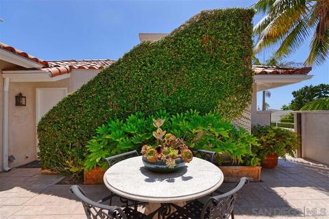 6643 Aranda Ave, La Jolla, CA 92037 photo 19