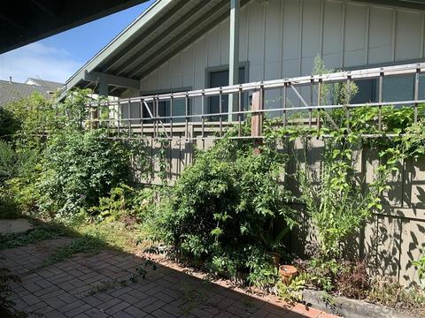 3228 Caminito Ameca, La Jolla, CA 92037 photo 17