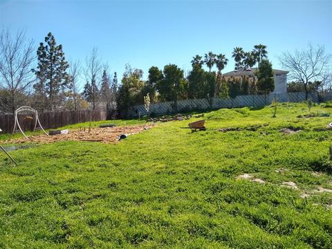9747 Murray Dr, La Mesa, CA 91942 photo 24
