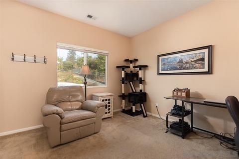 7535 Ohio Pl, La Mesa, CA 91942 photo 18