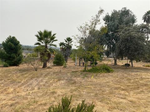 1454 Olive Ave, Vista, CA 92083 photo 6