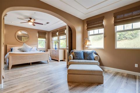 709 Rihely Pl, Encinitas, CA 92024 photo 16