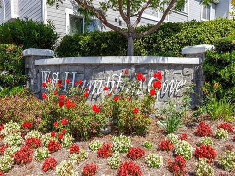 219 Mangano Cir, Encinitas, CA 92024 photo 15